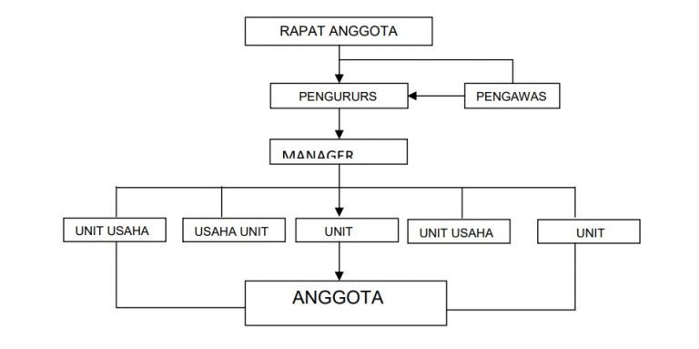 Struktur Organisasi Koperasi Sekolah Simpan Pinjam Ukm Dan Tugasnya 8597