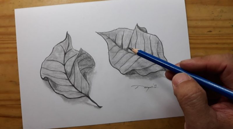 7+ Alat dan Bahan untuk Menggambar Ilustrasi [Teknik Kering & Basah]