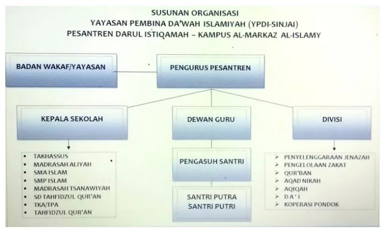 Contoh Struktur Organisasi Yayasan Pesantren Imagesee