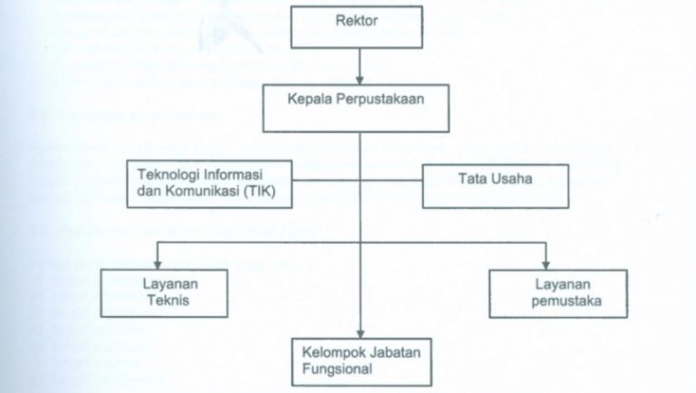 Struktur Organisasi Perguruan Tinggi